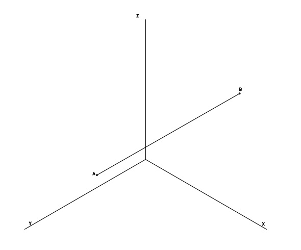 axonomterica.jpg